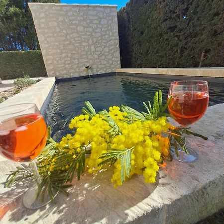 La Maison De Manon, 4-5Personnes, 75M2, Centre Village Avec Piscine Privee Мосан ле Алпил Екстериор снимка