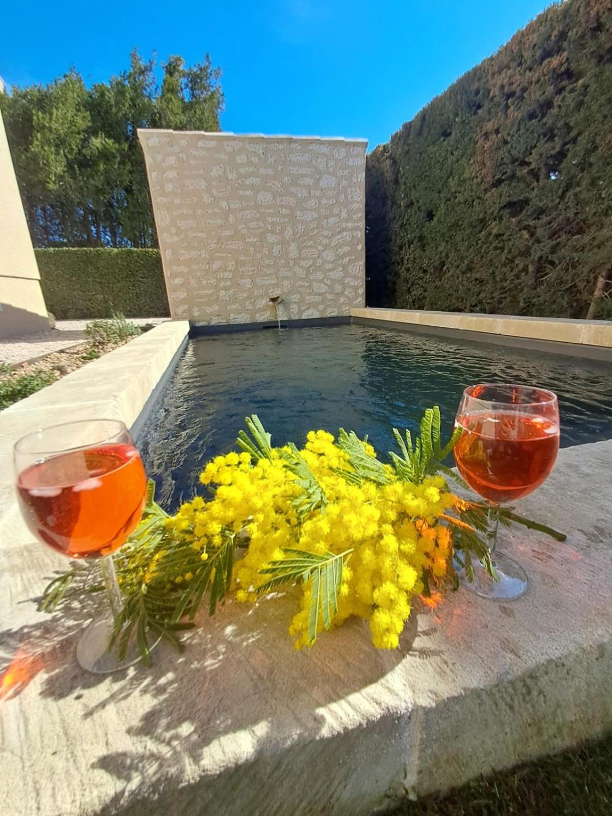 La Maison De Manon, 4-5Personnes, 75M2, Centre Village Avec Piscine Privee Мосан ле Алпил Екстериор снимка