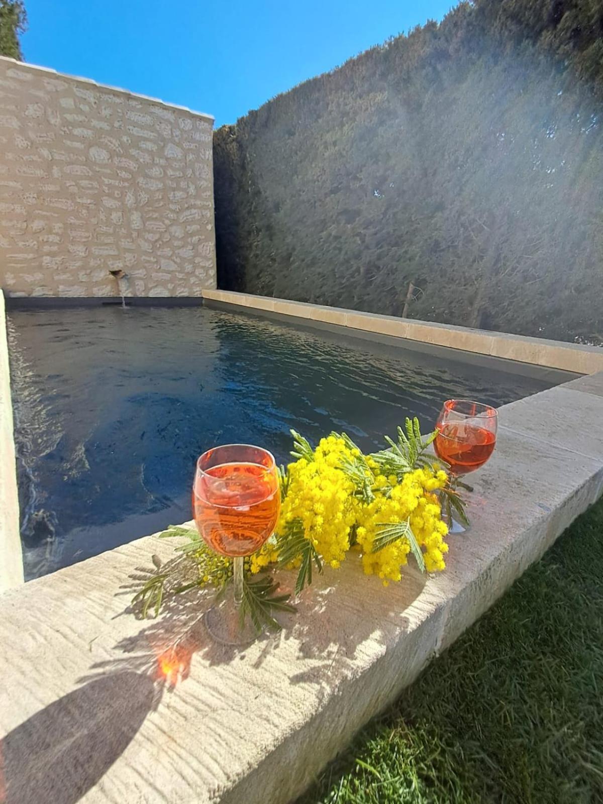 La Maison De Manon, 4-5Personnes, 75M2, Centre Village Avec Piscine Privee Мосан ле Алпил Екстериор снимка